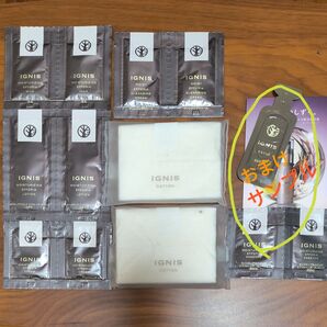 IGNIS(イグニス) エフフォーリア サンプルセット