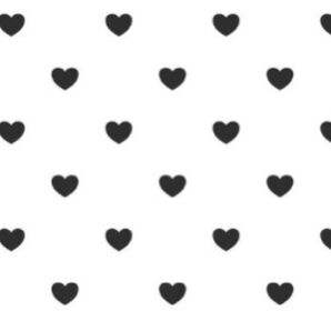 ◇20251122 7点 soo