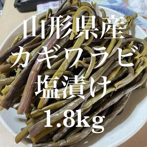 山形県産 アク抜き カギワラビ 塩漬け 1.8kg(900g×2袋) 塩蔵 蕨