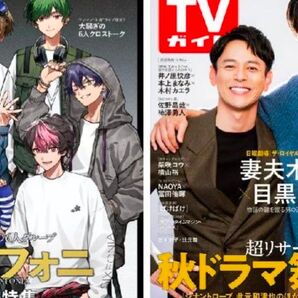 TVガイド 2025年11月14日号 妻夫木聡 目黒蓮 シクフォニ