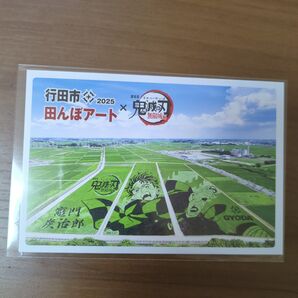 鬼滅の刃 竈門炭治郎 田んぼアート 非売品 ポストカード ハガキ 葉書 カード