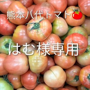 熊本八代トマト ワケあり品1kg