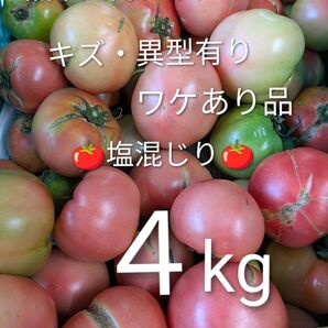 熊本八代トマト ワケあり品4kg