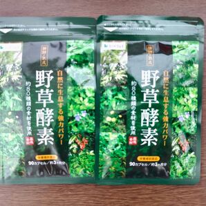 野草酵素 シードコムス 6ヶ月分