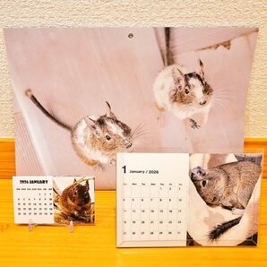 2026 デグー カレンダー 3種セット
