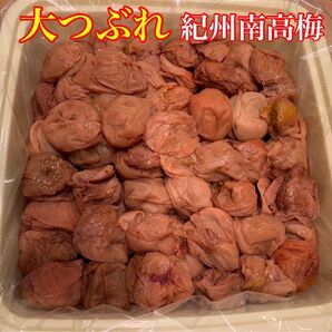 紀州南高梅 大つぶれ 梅と天日塩だけで漬けた梅干し 3kg 白干し 梅肉用 業務用 訳あり梅 昔ながらの梅干し