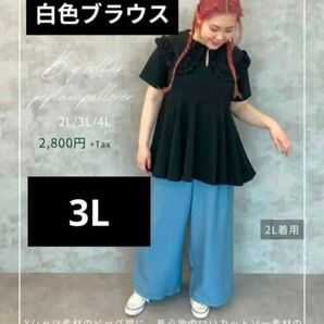 《タグ付き》3L フリル襟プルオーバー 安藤うぃ × DERELIKT