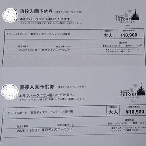 東京ディズニーランド 1デーパスポート 大人2名 直接入園予約券