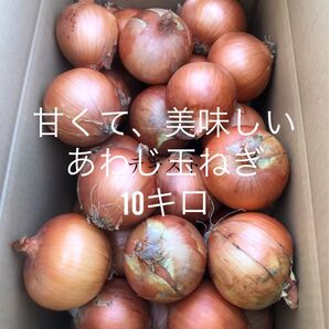 淡路島産 玉ねぎ10キロ
