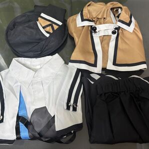 無職転生 ロキシー コスプレ ウィッグ