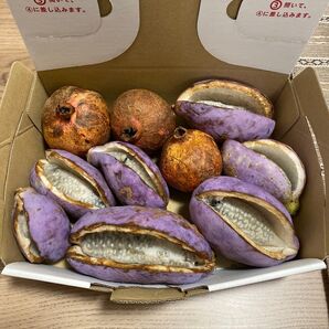 愛知県産 アケビ7個、ザクロ3個 自然栽培無農薬