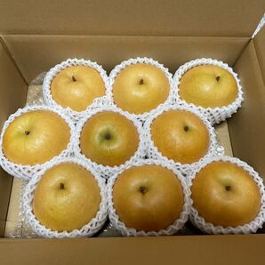 新潟県産梨新興4kg農家直送