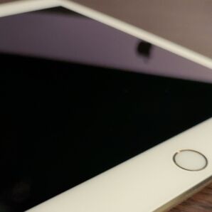 ipad mini4 iPad Apple シルバー タブレット