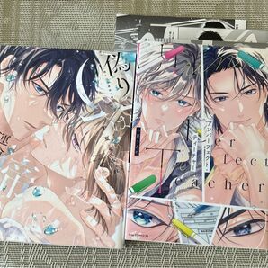 偽りΩは運命に啼く/偽りΩは運命に啼く小夏うみれ アニメイトリーフレット 3種付き