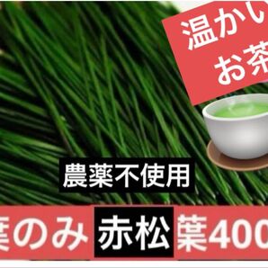無農薬 松の葉夏野菜赤松の葉 野菜 岡山県産 即日発送 即購入可能新芽のみ 着物小物類 ファッション【農薬・科学肥料・除草剤不使用