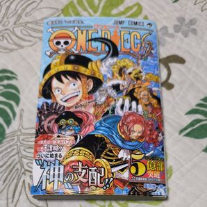 ONE PIECE ワンピース 113 113