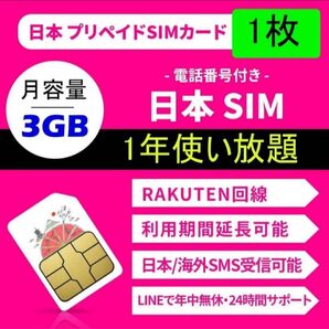 プリペイドSIMカード 楽天回線 データ通信 3GB/月 一年間利用 SMS受信可