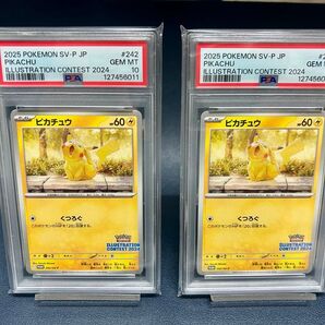 【PSA10】連番 ピカチュウ イラストレーションコンテスト 2024 PRO ポケモンカード ポケモンカードゲーム ポケカ