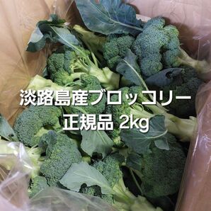 産地直送 低農薬 淡路島産ブロッコリー 秀品 2kg