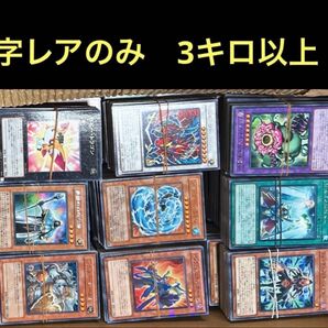 遊戯王 日版 字レアのみ 役2400枚