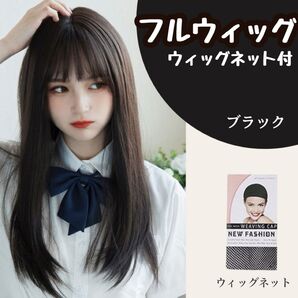 フルウィッグ ウィッグネット付 エクステ ナチュラル ヘアアレンジ 垢抜け 小顔
