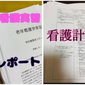 看護実習レポート 看護計画