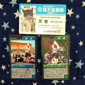 猫天堂病院 登録証明カードとカードゲーム 3個セット