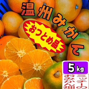 温州みかん(おつとめ品)