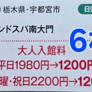 ザ・グランドスパ南大門 大人入館料割引券6枚セット