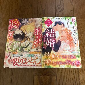 あなたが愛したとしても 三年間放置したお飾り妻に本当の愛など不要でしょう? /愛されていないけれど結婚しました。