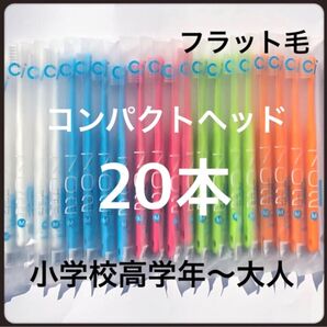 Ci702 コンパクトヘッド(フラット毛)20本 歯科医院専売歯ブラシ