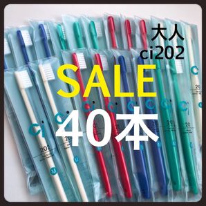 大人用歯ブラシ Ci202 40本 歯科医院専売