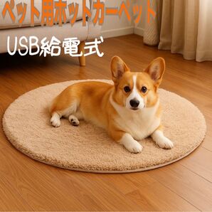 ペット 冬 あったか ホットカーペット USB 丸型 洗える ベージュ 猫 犬 ペット 寒さ対策 冬 マット ホット