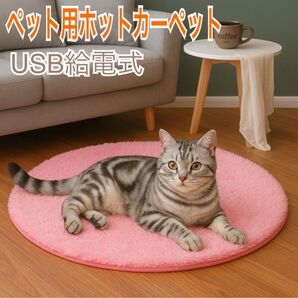 ペット 冬 あったか ホットカーペット USB 丸型 洗える ペット用ヒーター カーペット 犬 猫 冬 ヒーター 寒さ対策