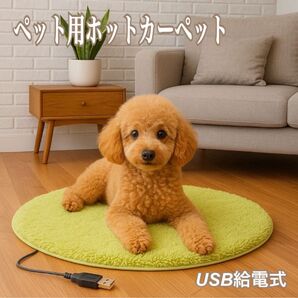 ペット 冬 あったか ホットカーペット USB 丸型 洗える ペット用ヒーター 猫 犬 ホット カーペット ペット 冬 寒さ対策