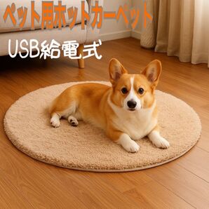 ペット 冬 あったか ホットカーペット USB 丸型 洗える ベージュ ヒーター ベッド ペット ホット 猫 犬 寒さ対策 冬