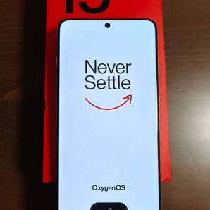 OnePlus 13
