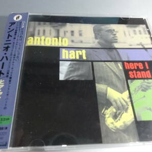 ANTONIO HART　　アントニオ・ハート　　 HERE I STAND　　帯付き国内盤