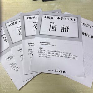 全国統一小学生テスト 6年生