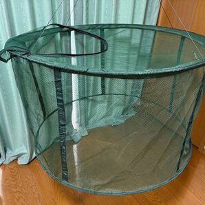 残り少 次回入荷未定生簀 ビク 魚籠 スカリ 養殖 釣堀 網 タモ 飼育 イケス 活魚 アジ イワシ アオリイカ 生き餌 アジ