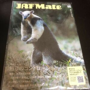 JAF Mate　ジャフメイト　2020年10月号　インタビュー　水川あさみ　コアリクイ