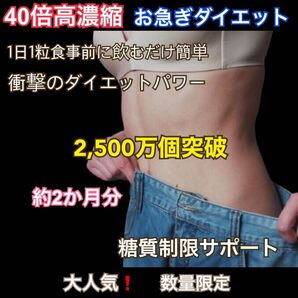 数量限定&大人気! 有名人愛用 肥満解消 短期集中 ダイエットサプリ 定価9.900円