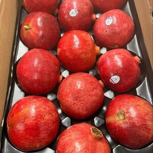 【空輸】約2.5キロ 5玉セットアメリカ産ザクロ 石榴 柘榴大玉 ザクロ 品質保証!!