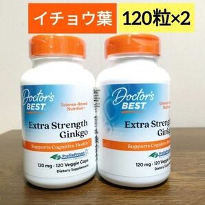 ドクターズベスト Ginkgo 120mg 120粒 イチョウ葉エキス Doctor's Best 2個