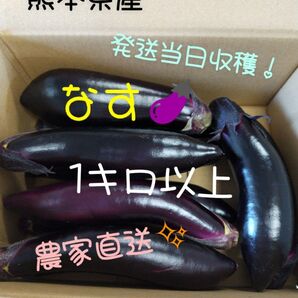 熊本県産 なす 1kg以上