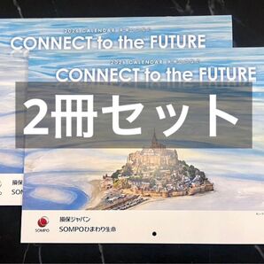 【代理店名記載なし】 損保ジャパン カレンダー 2026 令和8年 スケジュール 壁掛け 2冊セット SOMPOひまわり生命