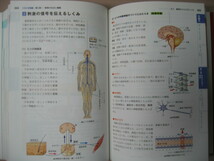 ★中学総合的研究理科　新装版 2010年発行、高校受験 入試までハイレベル参考書 ★旺文社 定価：￥2,800 _画像5