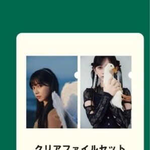 池田瑛紗 個展 クリアファイル あひるの夢