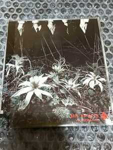 DIR EN GREY シングル ain't afraid to die サンプル盤 一回再生/検 sukekiyo 京 薫 Toshiya Tシャツ MADARANINGEN TheZemeckises DIRT