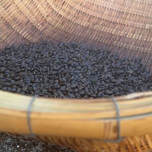 【サービス品】珈琲豆 200g 中深煎り〜極深煎り ブレンド コーヒー豆